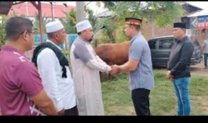 Screenshot_2024_0617_053248