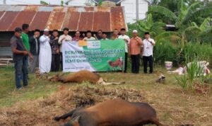 Screenshot_2024_0618_112806