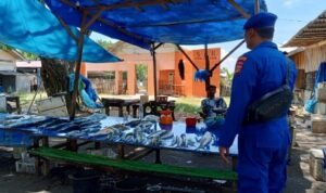 Screenshot_2024_0619_134439