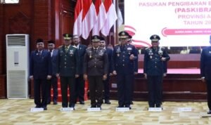 Screenshot_2024_0817_012239