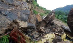 IMG-20241115-WA0214(1)