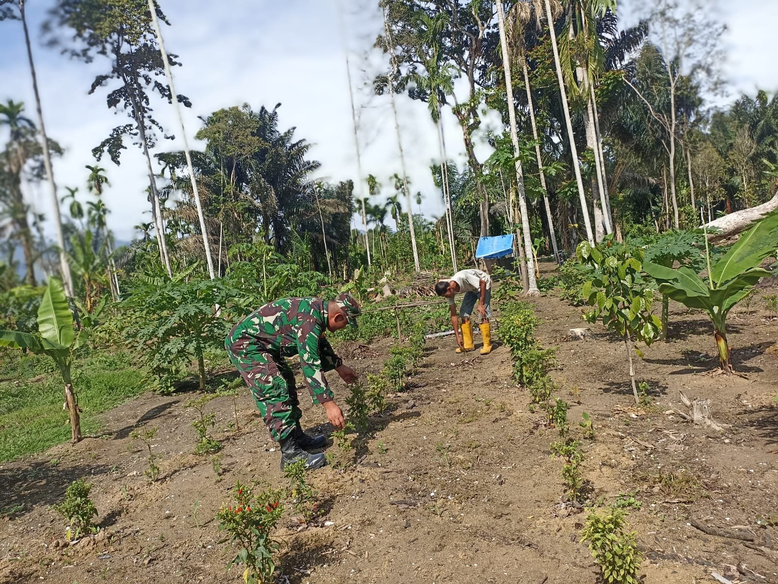 IMG-20251027-WA0158(2)