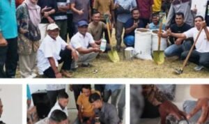 Screenshot_2025-10-17-12-00-07-51_6012fa4d4ddec268fc5c7112cbb265e7