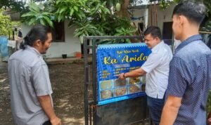 IMG-20251113-WA0029(1)