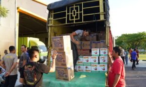 IMG-20251130-WA0086(1)