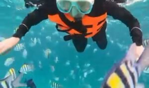 Screenshot_2025-11-06-13-02-12-58_6012fa4d4ddec268fc5c7112cbb265e7