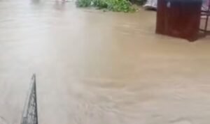 Screenshot_2025-11-11-14-50-00-80_a23b203fd3aafc6dcb84e438dda678b6