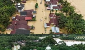 Screenshot_2025-11-28-12-51-25-26_a23b203fd3aafc6dcb84e438dda678b6