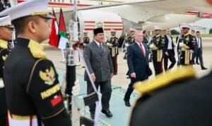 Screenshot_2025_1114_211106