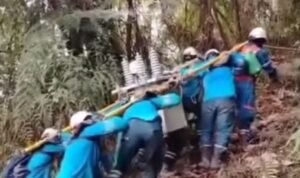 Screenshot_2025-12-07-00-14-11-44_e5d3893ac03954c6bb675ef2555b879b