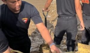 Screenshot_2025-12-15-07-56-00-82_6012fa4d4ddec268fc5c7112cbb265e7