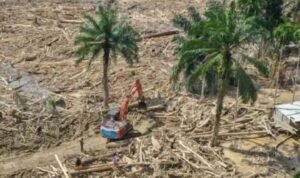 Screenshot_2025-12-21-10-25-00-90_a23b203fd3aafc6dcb84e438dda678b6