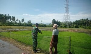 IMG-20260120-WA0044(1)