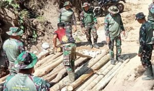 IMG-20260130-WA0049(1)