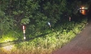 Screenshot_2026-01-01-12-21-40-14_a23b203fd3aafc6dcb84e438dda678b6