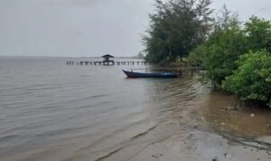 Screenshot_2026-01-02-16-11-50-82_a23b203fd3aafc6dcb84e438dda678b6