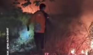 Screenshot_2026-01-21-12-33-16-78_a23b203fd3aafc6dcb84e438dda678b6