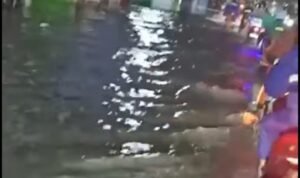 Screenshot_2026-01-24-11-49-43-50_a23b203fd3aafc6dcb84e438dda678b6