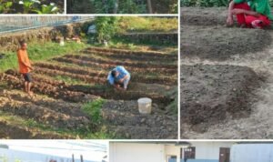 Screenshot_2026-01-28-09-26-01-94_6012fa4d4ddec268fc5c7112cbb265e7