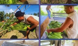 Screenshot_2026-01-28-11-18-25-05_6012fa4d4ddec268fc5c7112cbb265e7