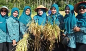 Screenshot_2026-01-30-22-50-54-17_40deb401b9ffe8e1df2f1cc5ba480b12