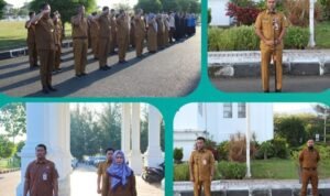 Screenshot_2026-02-02-14-35-36-50_e5d3893ac03954c6bb675ef2555b879b