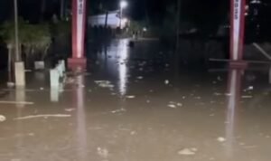 Screenshot_2026-02-15-09-33-03-45_a23b203fd3aafc6dcb84e438dda678b6