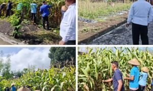 Screenshot_2026-02-18-17-29-57-58_6012fa4d4ddec268fc5c7112cbb265e7