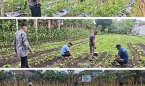 Screenshot_2026-02-20-14-10-54-16_6012fa4d4ddec268fc5c7112cbb265e7