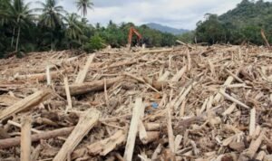 Screenshot_2026-02-22-13-21-52-85_680d03679600f7af0b4c700c6b270fe7