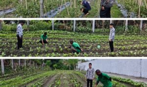 Screenshot_2026-02-27-12-09-30-79_6012fa4d4ddec268fc5c7112cbb265e7