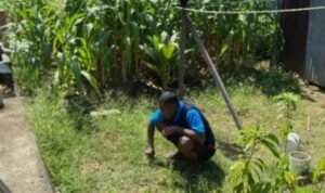 Screenshot_2026-03-30-12-09-12-32_6012fa4d4ddec268fc5c7112cbb265e7