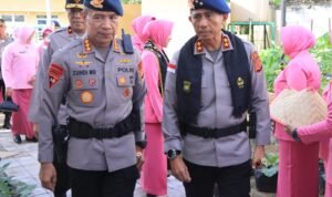IMG-20260511-WA0169